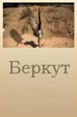 Беркут 2006