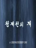 Собака ручья Чхонгечхон 2009