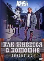 Как живется в конюшне 2006
