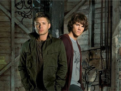 Сериалы аниме про братьев