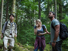 Испанские фильмы про лес