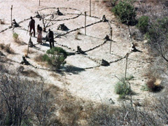 Фильмы триллеры про каннибалов