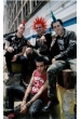 The Casualties