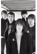 The Pigeon Detectives
