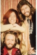 The Bee Gees