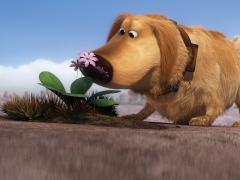 Фильмы короткометражные 2009