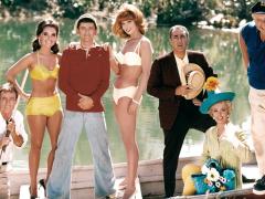 Американские сериалы 1965 года