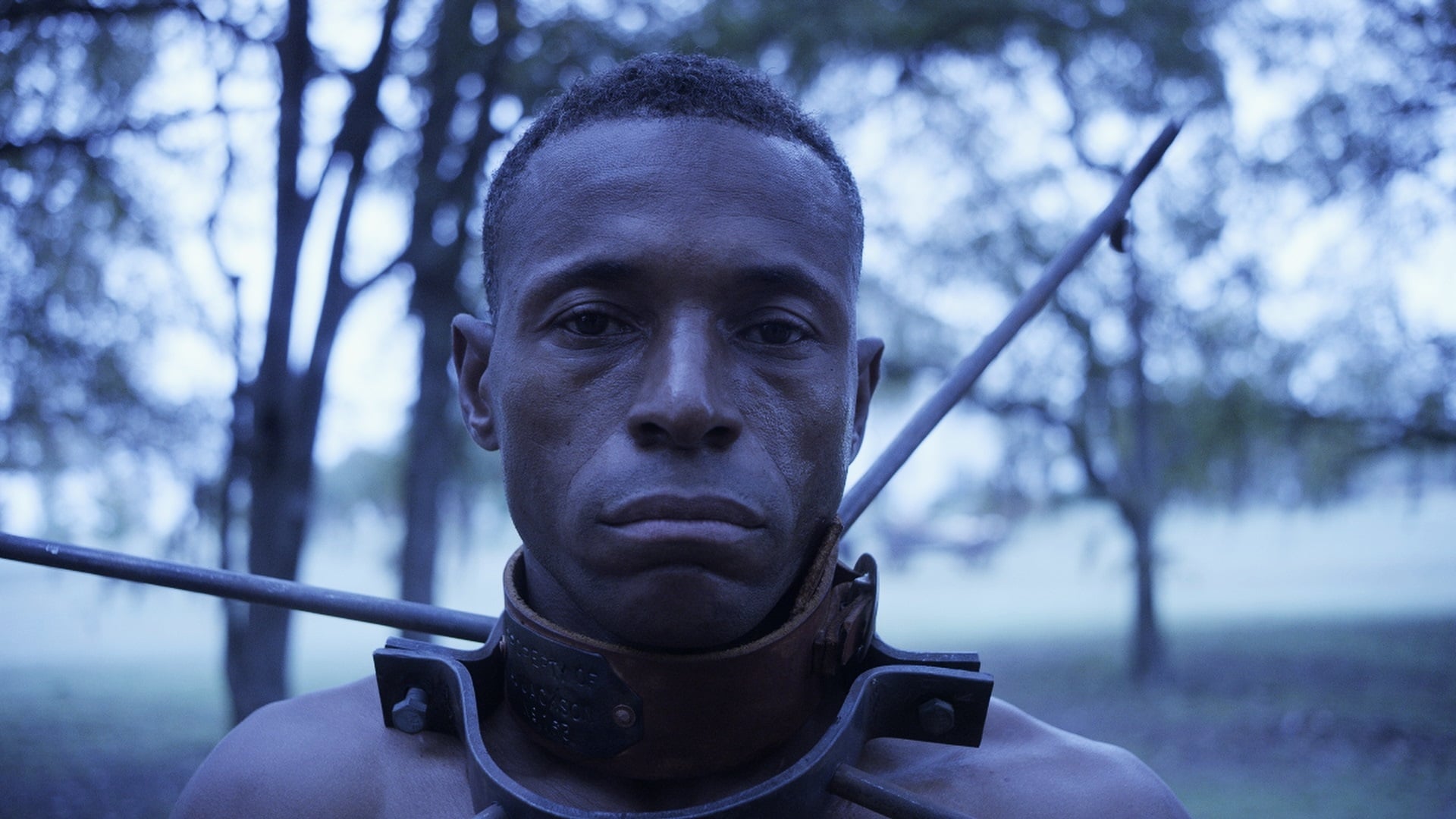 Америка Хиллари: Тайная история Демократической партии 2016