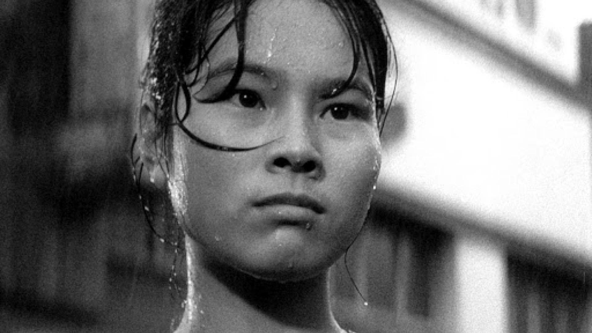 Свиньи и броненосцы 1961