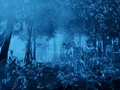 Американские фильмы 1965 года