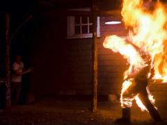 Американские фильмы 1981 года