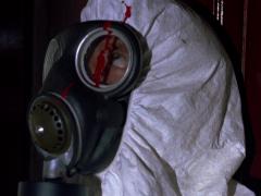 Зарубежные фильмы 1973 года