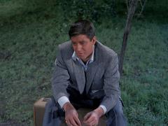 Фильмы мюзиклы 1959 года