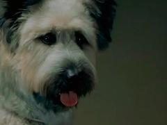 Зарубежные фильмы 2006 года