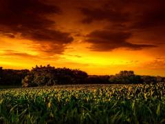 Фильмы ужасов 1992