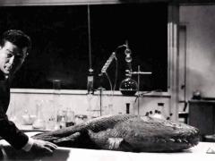 Зарубежные фильмы 1959 года