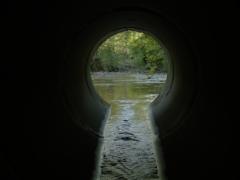 Фильмы документальные 2018