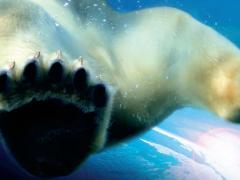 Фильмы про леопардов