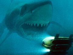 Фильмы про нападение акул