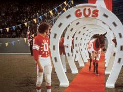 Фильмы спорт 1977 года