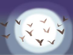 Фильмы семейные про религиозных фанатиков