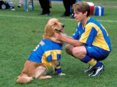 Фильмы спорт 2001