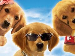 Американские фильмы про щенков