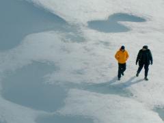 Фильмы документальные 2016