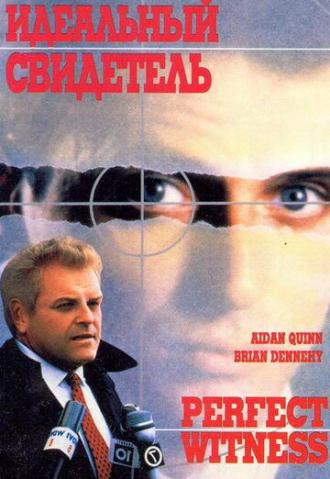 Идеальный свидетель (фильм 1989)
