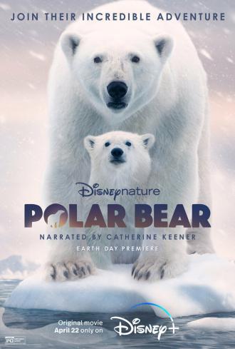 Белая медведица (фильм 2022)