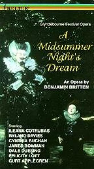 Сон в летнюю ночь (фильм 1985)