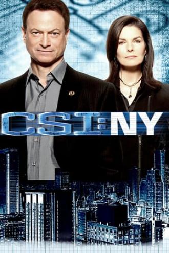 CSI: Место преступления Нью-Йорк  (сериал 2004)