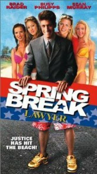 Адвокат на каникулы (фильм 2001)