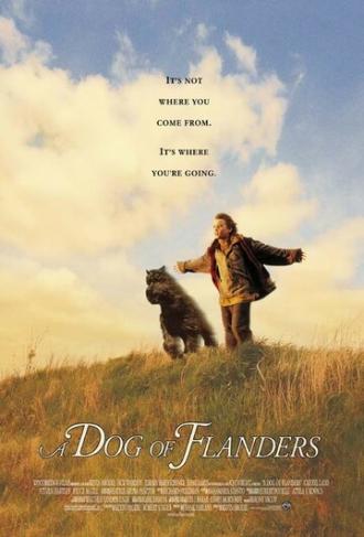 Фландрийский пес (фильм 1999)