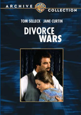 Воины вокруг развода: История любви (фильм 1982)