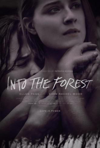 В лесу (фильм 2015)